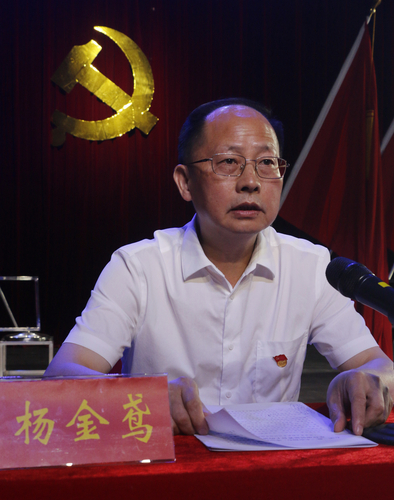杨