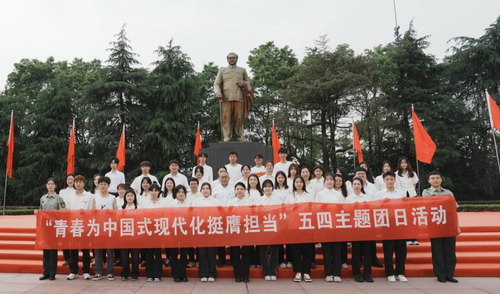 图片3